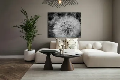 Dandelion Reproduction