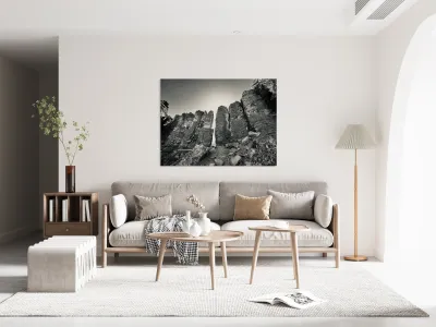 The Feathers Reproduction