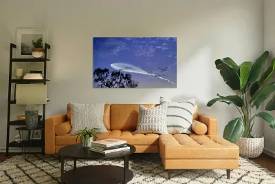 Space X launch -2 Reproduction