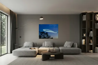 Space X Launch -1 Reproduction