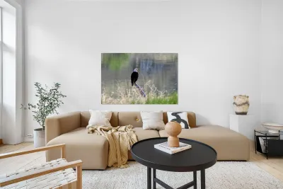 Bald Eagle on the Columbia Reproduction