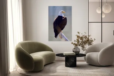 Majestic Reproduction