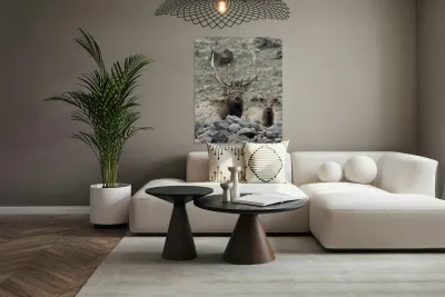 IMG 3516 Reproduction