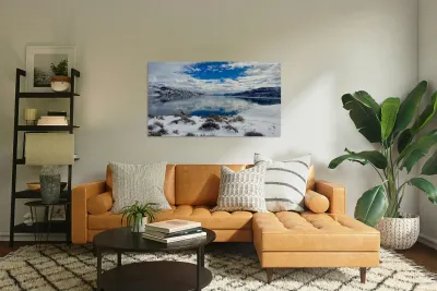 Winter Cove Reproduction