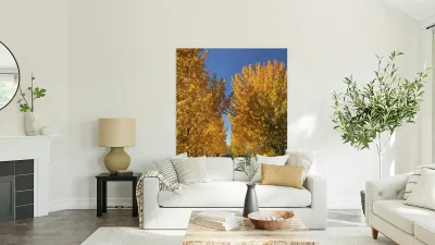 The Road to Cave B Reproduction