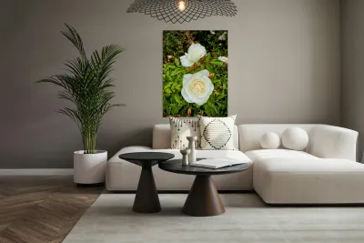 White Rose: Porcelain Breeze Reproduction