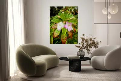 Floravox: The Soft-Spoken Twins Reproduction