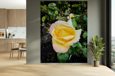 Alchemy in Bloom Reproduction