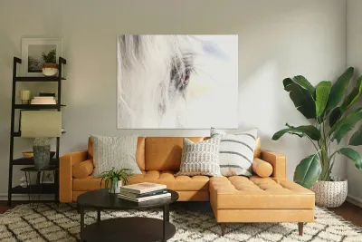 A Quiet Gaze Reproduction