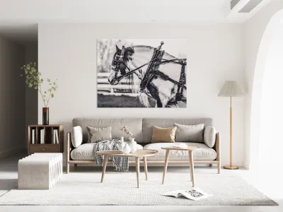 Determination Reproduction