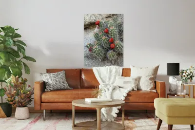 Cactus Bloom -Red Reproduction