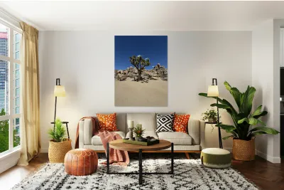 Joshua Tree -3 Reproduction