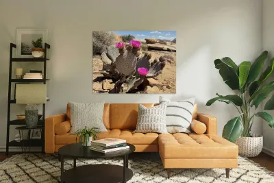 Cactus Bloom Reproduction