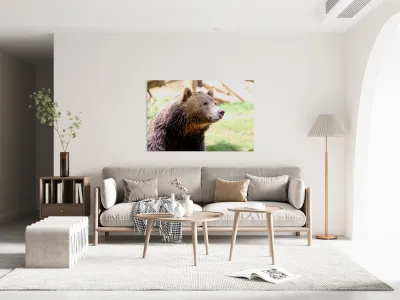 Brown Bear -2 Reproduction