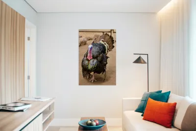 Wild Turkey Reproduction