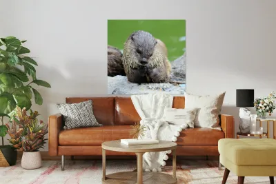 River Otter Reproduction