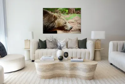 Brown Bear -1 Reproduction