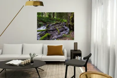 Bridal falls British Columbia creek 2 Reproduction