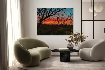 Colors of the Desert Reproduction