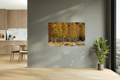 IMG 9899 Reproduction