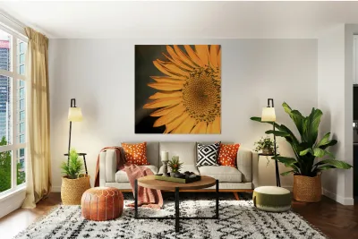 Close up Sunflower Reproduction