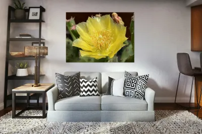 Prickly Pear Bloom -1 Reproduction