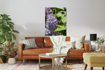 Bee-live  Reproduction