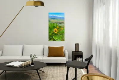 Balsam Root featuring the Kittitas Valley backround Reproduction