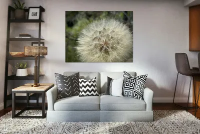Dandelion Head Reproduction