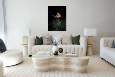 Bird of Paradise Reproduction