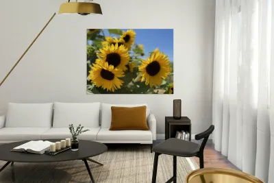 Happy Sunflowers Reproduction