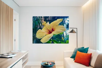 Yellow Hibiscus Reproduction