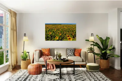 The Sunflower Sea Reproduction