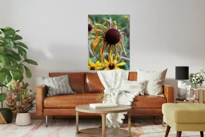 Time Served Reproduction