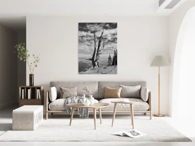 Wenatchee Overlook - black and white Reproduction