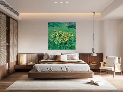 Balsam Root Reproduction