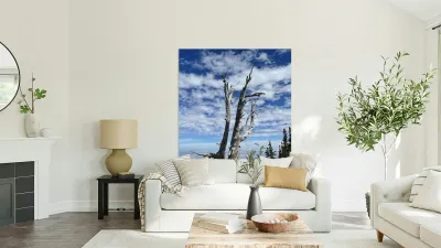 Wentachee Overlook - color Reproduction