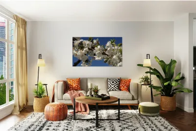 White Cherry Blossoms  -1 Reproduction