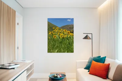 Balsam Root Wildflowers Reproduction