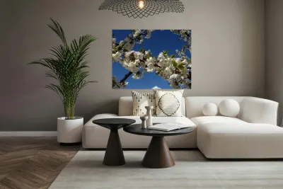 White Cherry Blossom -2 Reproduction