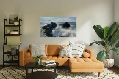 IMG 0939 Reproduction