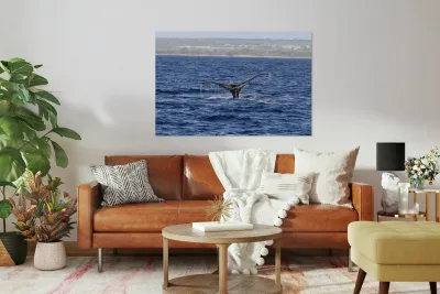 IMG 3379 Reproduction