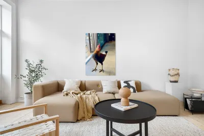 Hello can I help you  Reproduction