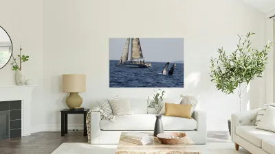 IMG 3370 Reproduction