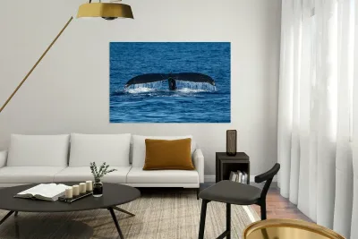 DSC09148 Reproduction