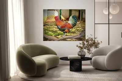 Maui Rooster Reproduction