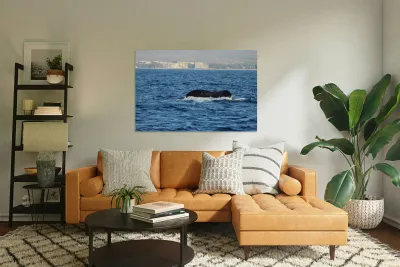 IMG 3391 Reproduction