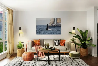 IMG 3364 Reproduction