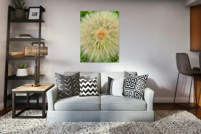 Nature’s Compass: All Directions One Origin Reproduction