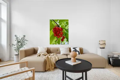 The Orchard’s Pulse: Where Color and Ripeness Conspire Reproduction